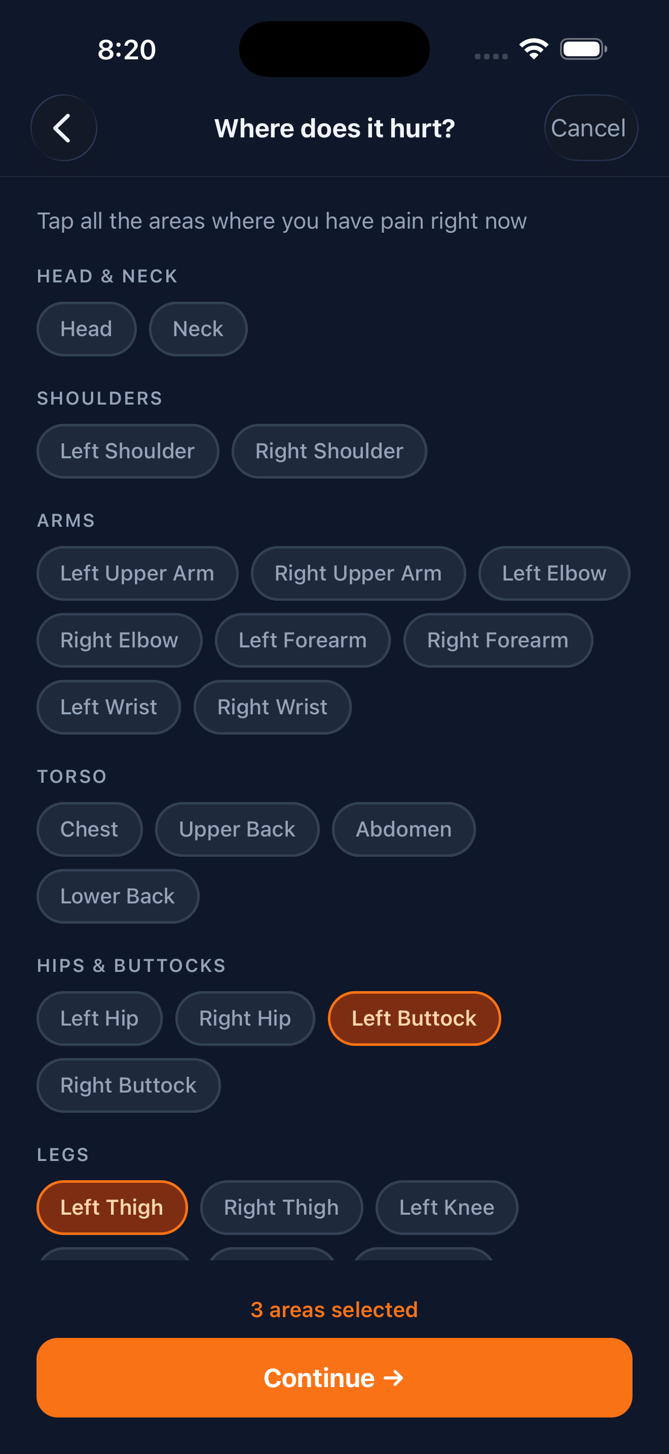 Body region pain logging